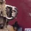 Highlights of Rome