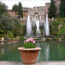 Tivoli magnificence of art and nature